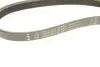 FB4EPK843 Ремінь генератора BMW 5 (E60)/X3 (E83/)X5 (E70)/X6 (E71/E72) 04-13 (M57) INA підбір по vin на Brocar