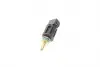 B4126102 Датчик температуры охлаждающей жидкости BMW 3 (E46/E90/F30)/5 (E39/E60/F10) 95-13 (2 конт.) BOGAP підбір по vin на Brocar