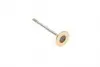 007VE30718100 Клапан (впуск) Fiat Brava/Marea 1.9/2.4TD 94-02 (37.5x8x114.5) MAHLE / KNECHT підбір по vin на Brocar