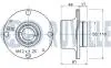220298 Підшипник задн (з ABS Albea,Brava,Marea,Palio,Panda 03-,Punto,Tempra,Tipo RUVILLE підбір по vin на Brocar