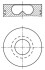 Поршень 015 69 02