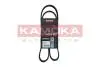 7017005 Ремiнь клиновий 7PK1113 Renault Master/Trafic/Opel Movano/Vivaro 2.5CDTI/dCi 06- KAMOKA підбір по vin на Brocar