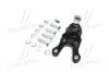 CB0248R Опора кульова нижня R Mitsubishi Pajero 90- Pajero Sport 95-00 (вир-во CTR) CTR підбір по vin на Brocar