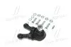 CB0248R Опора кульова нижня R Mitsubishi Pajero 90- Pajero Sport 95-00 (вир-во CTR) CTR підбір по vin на Brocar