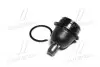 CB0165 Опора кульова нижня Chevrolet Spark M300 10- (вир-во CTR) CTR підбір по vin на Brocar