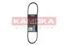 7014009 Ремiнь клиновий 4PK735 Ford Transit 2.0 TDCI 00-06 KAMOKA підбір по vin на Brocar