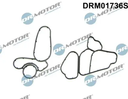 DRM01736S Комплект прокладок гумових DR.MOTOR підбір по vin на Brocar