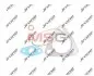 Комплект прокладок турбіни OPEL ANTARA (L07) 06-11; CHEVROLET EPICA (KL1_) 07-11,CAPTIVA (C100, C140) 06-н.в. 2090-505-568