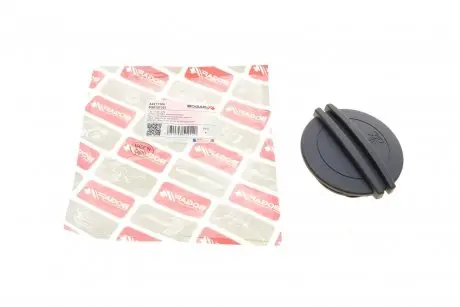 A4211104 Кришка бачка розширювального Audi A3/Q7/Seat Leon/Skoda Fabia/Octavia/VW Caddy/Passat 05- BOGAP підбір по vin на Brocar