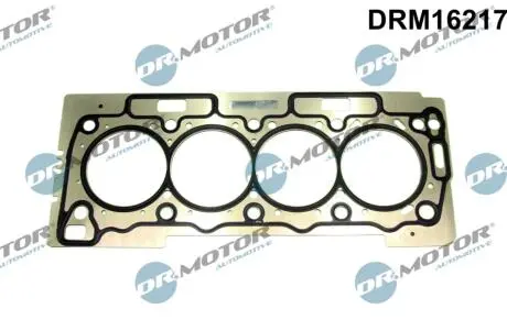DRM16217 Прокладка пiд головку CITROEN/PEUGEOT 00- DR.MOTOR підбір по vin на Brocar