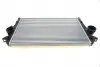 Радіатор інтеркулера Ford Galaxy/VW Sharan 1.9/2.0TDI 02-10 58004251