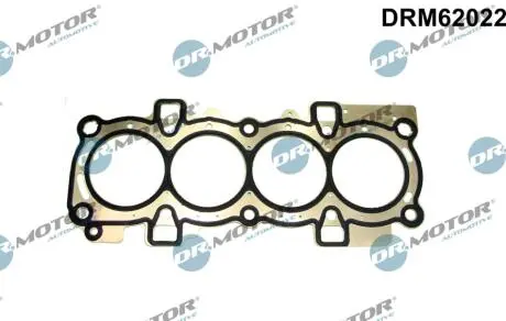 DRM62022 Прокладка пiд головку FORD/MORGAN 04- DR.MOTOR підбір по vin на Brocar