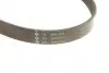 529015920 Комплект ремня генератора VW Golf 1.2/1.4TSI 12-/Skoda Octavia 1.2-1.6 12- (6PK1003) INA підбір по vin на Brocar