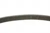 529015920 Комплект ремня генератора VW Golf 1.2/1.4TSI 12-/Skoda Octavia 1.2-1.6 12- (6PK1003) INA підбір по vin на Brocar