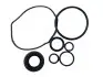 TY8012KIT Ремкомплект насоса ГПК TOYOTA TUNDRA USA 2009- MSG підбір по vin на Brocar