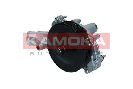 T0291 Насос охолоджувальної рідини, охолодження двигуна KAMOKA підбір по vin на Brocar