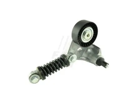FT44631 Натяжник паска приводного Ford Transit/Mondeo 2.0Di 00- FAST підбір по vin на Brocar