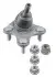 4348601 Шарова опора Прав AUDI A1, A1 ALLSTREET, A1 CITY CARVER, A3, Q2 CUPRA ATECA, LEON, LEON SPORTSTOURER SEAT ARONA, ATECA, IBIZA V, LEON, LEON SC, LEON SPORTSTOURER 1.0-Electric 04.12- LEMFORDER підбір по vin на Brocar