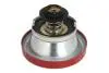 D30008TT Кришка радіатора THERMOTEC підбір по vin на Brocar
