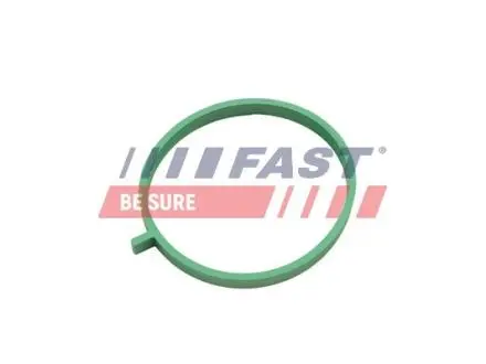 FT49472 Ущільнення, впускний колектор FAST підбір по vin на Brocar
