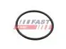 FT49460 Автозапчастина FAST підбір по vin на Brocar
