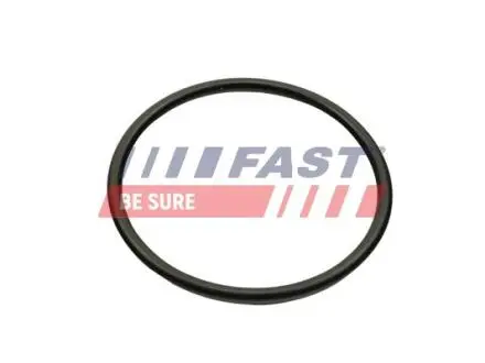 FT49460 Автозапчастина FAST підбір по vin на Brocar
