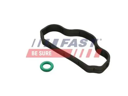 FT48302 Прокладка клапана рециркуляції FORD TRANSIT 2.0 EcoBlue 20- FAST підбір по vin на Brocar
