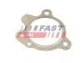 FT84509 Ущільнення, вихлопна труба FAST підбір по vin на Brocar