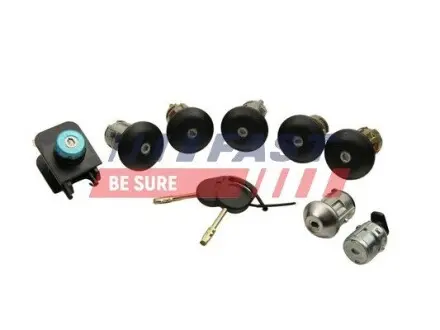 FT93909 Цугаліки комплект FORD Connect 02-13 FAST підбір по vin на Brocar