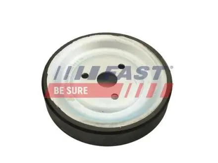 FT45568 Шків, водяний насос FAST подбор по vin на Brocar