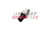 FT59308 Автозапчастина FAST підбір по vin на Brocar