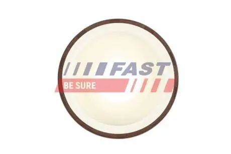 FT49817 Ущільнювальне кільце вала, колінчатий вал FAST підбір по vin на Brocar