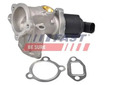 FT60228 Клапан рециркуляції відпрацьованих газів Fiat 500, Doblo, Idea, Panda, Punto, Lancia, Opel Combo, Corsa, Suzuki Wagon 1.3 03- FAST підбір по vin на Brocar