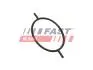 FT49923 Ущільнююче Кільце FORD Transit Connect 02- 1.8 Tdci 06- Serwo Hamulcowe FAST підбір по vin на Brocar