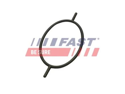 FT49923 Ущільнююче Кільце FORD Transit Connect 02- 1.8 Tdci 06- Serwo Hamulcowe FAST підбір по vin на Brocar