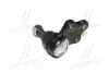 CB0325 Опора кульова нижня Nissan Pathfinder R50 97-04 (вир-во CTR) CTR підбір по vin на Brocar
