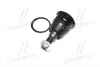 CB0320 Опора кульова нижня Nissan Maxima QX A32 95-00 (вир-во CTR) CTR підбір по vin на Brocar