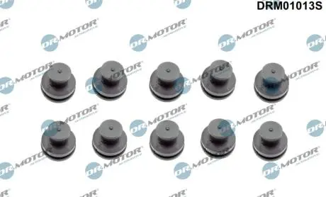 DRM01013S Заглушка кожуха двигуна к-т, 10шт DR.MOTOR підбір по vin на Brocar