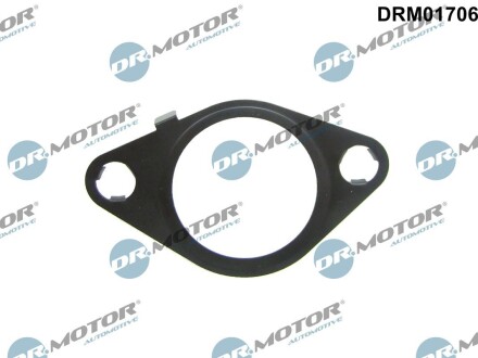 DRM01706 Прокладка клапану EGR DR.MOTOR подбор по vin на Brocar