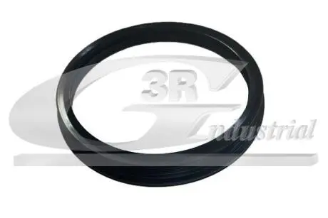 36702 Ущільнююче кільце бензонасоса VAG 1.4TSI/1.6TDI/2.0TDI/2.0TSI 3RG подбор по vin на Brocar