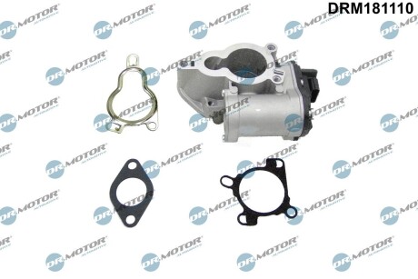 DRM181110 Клапан рециркуляції газів DR.MOTOR підбір по vin на Brocar