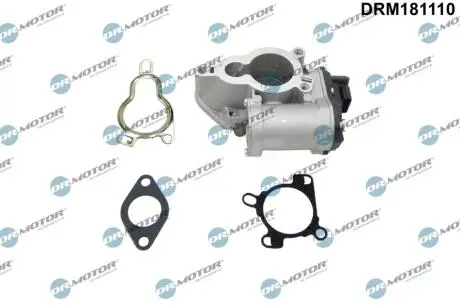 DRM181110 Клапан рециркуляції газів DR.MOTOR підбір по vin на Brocar
