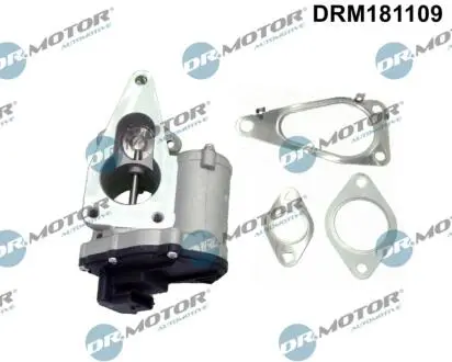 DRM181109 Клапан системи рециркуляції ВГ DR.MOTOR підбір по vin на Brocar