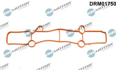 DRM01750 Прокладка впускного колектора DR.MOTOR підбір по vin на Brocar