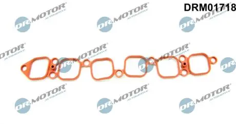 DRM01718 Ущільнення, впускний колектор DR.MOTOR подбор по vin на Brocar
