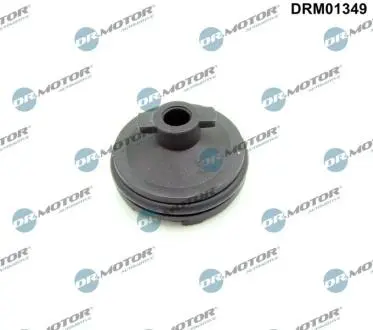 DRM01349 Пробка, оливний піддон DR.MOTOR підбір по vin на Brocar