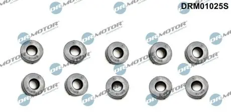 DRM01025S Втулка клапанної кришки, к-т 10 шт DR.MOTOR підбір по vin на Brocar