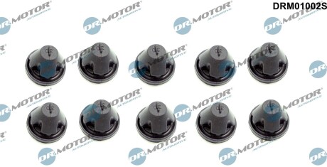 DRM01002S Втулка кожуха двигуна к-т, 10 шт DR.MOTOR підбір по vin на Brocar