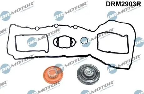 DRM2903R Комплект прокладок з різних матеріалів DR.MOTOR підбір по vin на Brocar