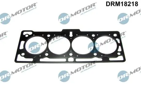 DRM18218 Автозапчастина DR.MOTOR підбір по vin на Brocar